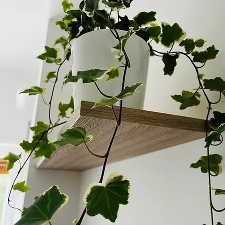 Appartement San Damaso Rome